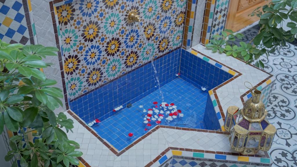 Riad Almoha